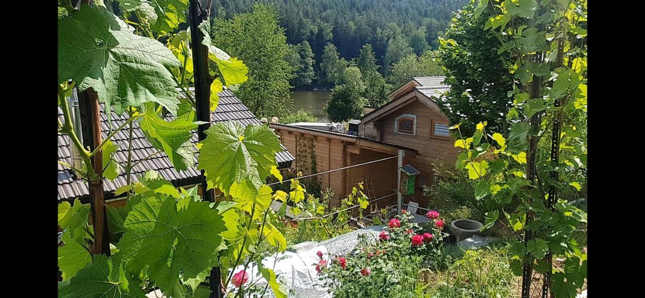 Holzhaus Am See Mit Panoramablick Trausnitz Екстер'єр фото